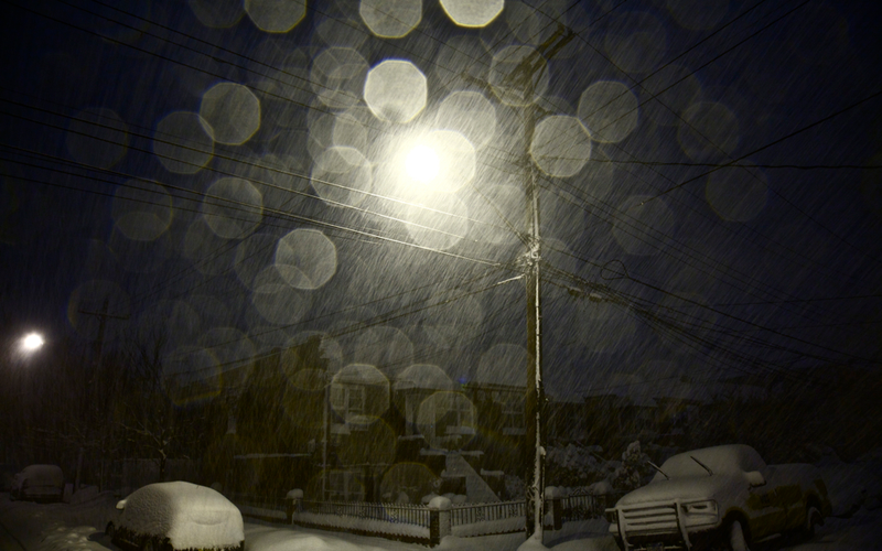 Illustration for article titled Shooting Challenge: Bokeh, Gallery 5